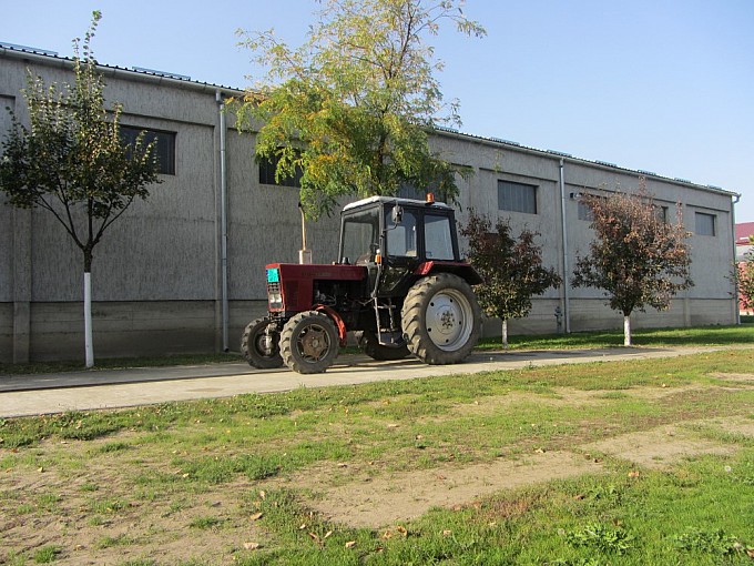 traktori belarus 82